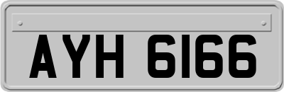 AYH6166