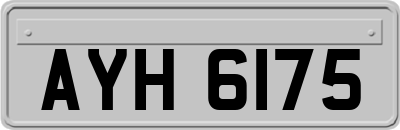 AYH6175