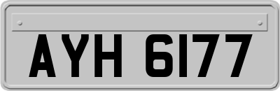 AYH6177
