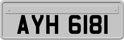 AYH6181