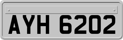 AYH6202