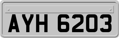 AYH6203