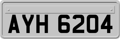 AYH6204