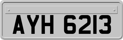 AYH6213