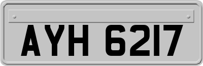 AYH6217
