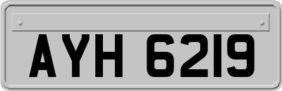 AYH6219