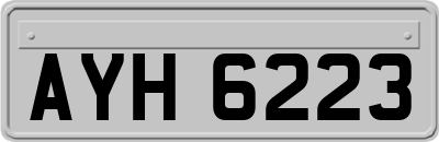 AYH6223