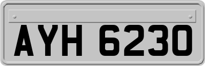 AYH6230