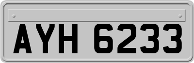 AYH6233
