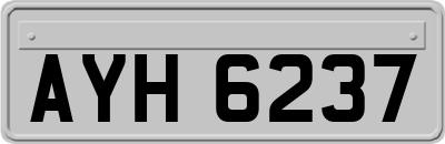 AYH6237