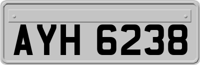 AYH6238