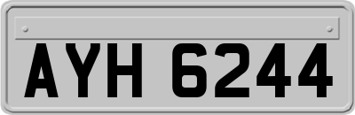 AYH6244