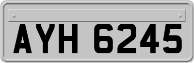 AYH6245