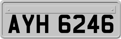 AYH6246