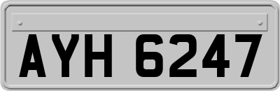 AYH6247