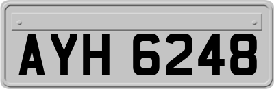 AYH6248