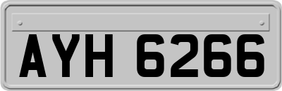 AYH6266