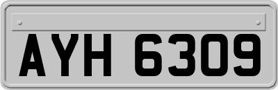 AYH6309
