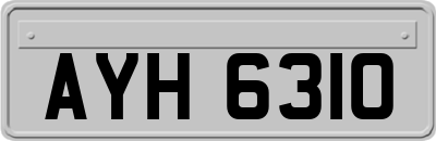 AYH6310