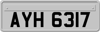 AYH6317