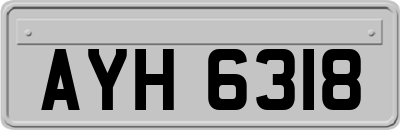 AYH6318