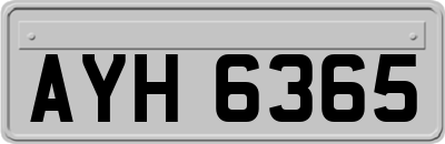 AYH6365