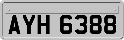 AYH6388