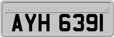 AYH6391
