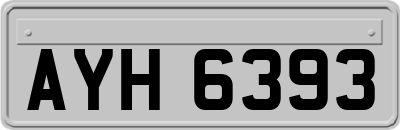 AYH6393