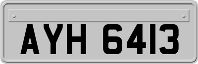 AYH6413