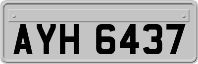 AYH6437