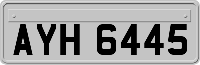 AYH6445