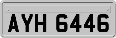 AYH6446