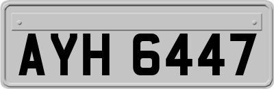 AYH6447