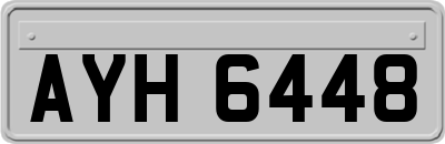 AYH6448