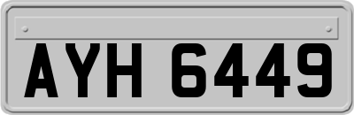 AYH6449
