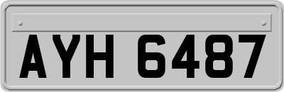 AYH6487
