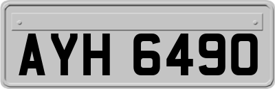 AYH6490