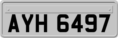 AYH6497
