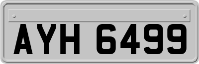 AYH6499