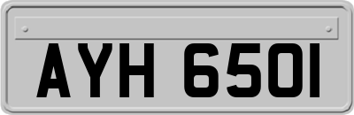 AYH6501