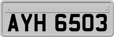 AYH6503