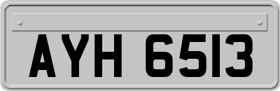 AYH6513