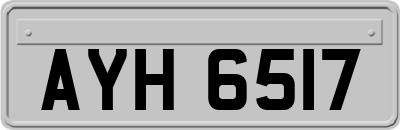AYH6517