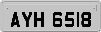 AYH6518