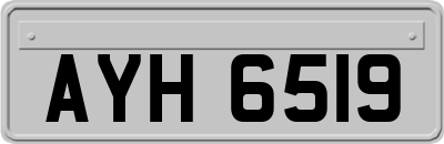 AYH6519