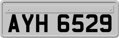 AYH6529