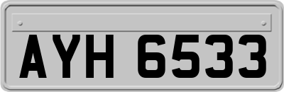 AYH6533