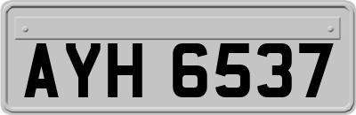 AYH6537