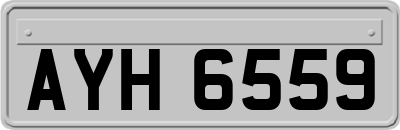 AYH6559